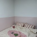 레드애플 | 사계절 내내 포근하게 유니크한 작품 뚜누 사계절 베딩 차렵이불세트 레드애플 퀸사이즈 후기!