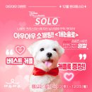 제주에서