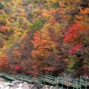 대공원역 2번 출구 앞 이미지