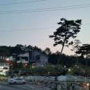 까페예그리나