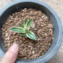 만대농장 이미지