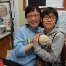 문수동물병원 이미지