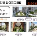 폰그래피