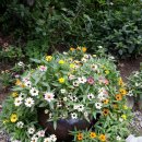 숲속 황토방 펜션 이미지