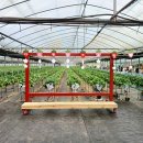 종대농장 이미지