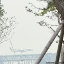안기기사식당 | 작년 5월달 일을 내가 어 떻 게 기억하냐고 - 2025 위버스콘 후기 (1)