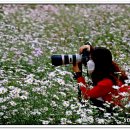 삼문송림길 이미지