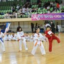 화랑 태권도 체육관 Daum카페