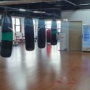 용인대W복싱짐 이미지