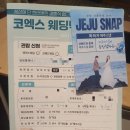 웨딩일기 Ep.03 - 웨덱스(WEDDEX)웨딩박람회 솔직 후기 (2024.01.27)(스드메견적공유-&gt;메일 댓글)