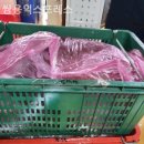 미수휴먼시아 | [통영 이사업체] 쌍용익스프레스 위치
