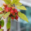 덕풍중학교 이미지