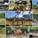 가가동물원 이미지