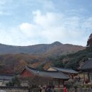 선운사