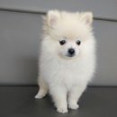 로이종합동물병원 이미지