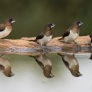 컴퓨터기초&활용 이미지