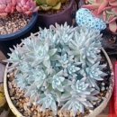 해림농장 이미지