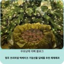대운떡집 | 청주 프리미엄 떡케이크 기업선물 답례품 추천 채채제과