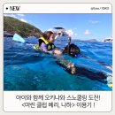 도도카케어 | 오키나와 3일차 후기｜마린클럽 베리 나하 · 아이와 스노쿨링(케라마 제도) 투어 팁!