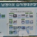 남생이못 습지생태 관찰원 | [11월/제주] 여행이 필요한 이유🎁