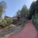 하동편백자연휴양림 이미지