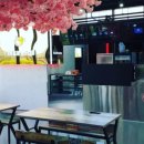 카페 개떼 이미지