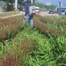 대소원면 행정복지센터 이미지