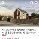 하일리 제주 이미지