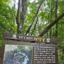 생곡리 미약골 이미지