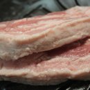 명량돼지 이미지