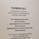 (주)비피도 | 파주베이커리카페 야당역카페 더브래드36.5 야당점 헬로키티케이크