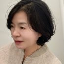 보브헤어샵 네이버블로그