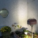 제이스하우스(Jay's haus)