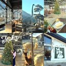 그린하우스 | 대구 근교 대형카페 추천｜모하 더 그린하우스 후기 (아이랑 가볼만한 곳)