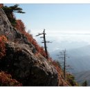 지게골로 이미지