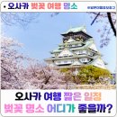 주식회사 성보 | 일본 오사카 여행｜오사카 짧은 일정 오사카 벚꽃 명소 어디가 좋을까? 2026 오사카 벚꽃 예상 개화...