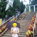 구룡모텔 이미지