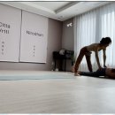 세종숨 네이버블로그