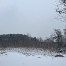 한스메디팜 이미지