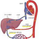 온기한의원 네이버블로그