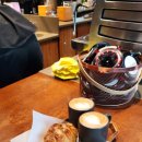 고대1124 이미지