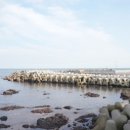 올드머그 이미지