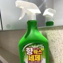 상쾌한숲속약국 | 다이소 욕실 청소템 향락스 세제 상쾌한 숲속 향 후기