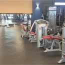 테스휘트니스센타 이미지