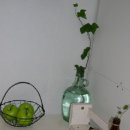 트리안약국 이미지