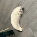 선주 사우나 | 일상에 HBD를 곁들인