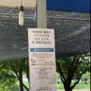 하늘숲글램핑파크 티스토리