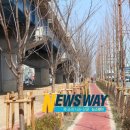 3.15대로 이미지