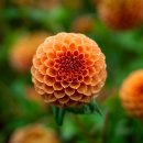 스마트폰 활용법 이미지