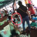 대한의료기 이미지